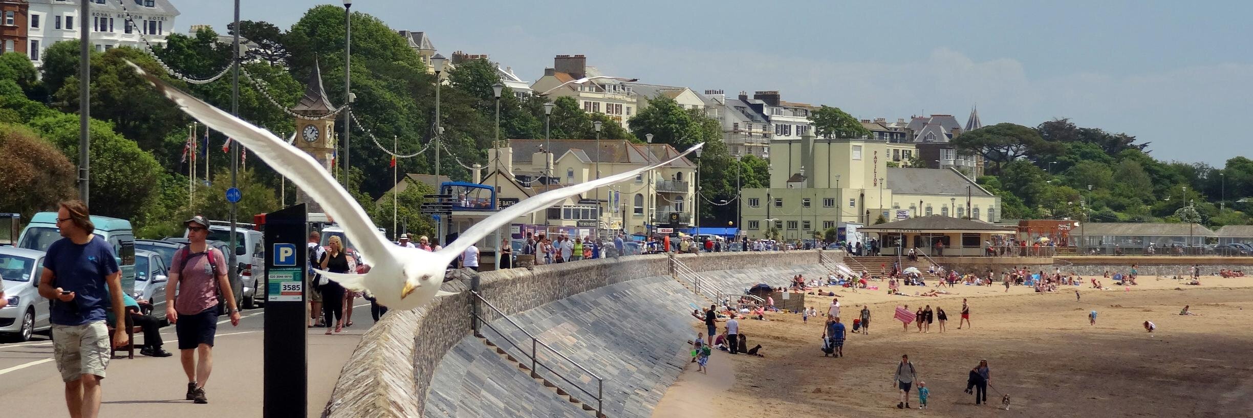 ILoveExmouth's profile banner image