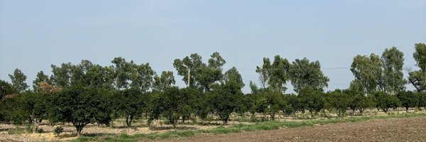 Zafar1391 Profile Banner