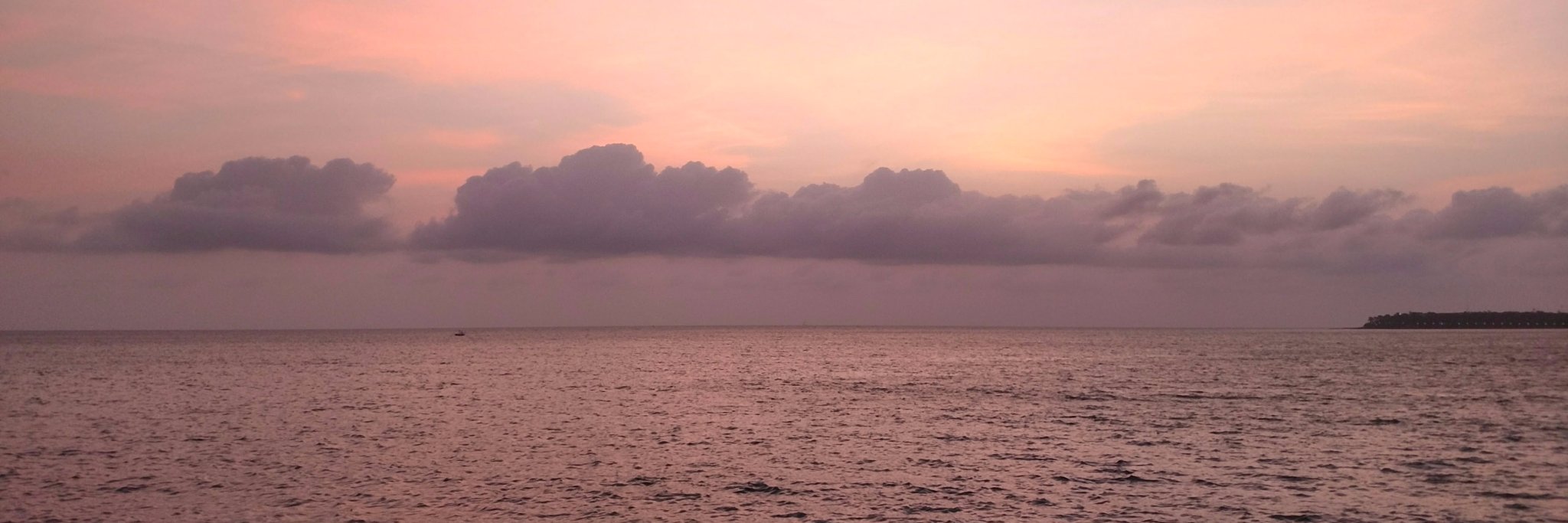 Nikhil S. banner