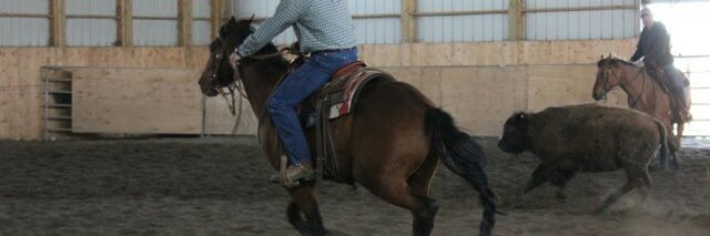 Sheldon grieve banner