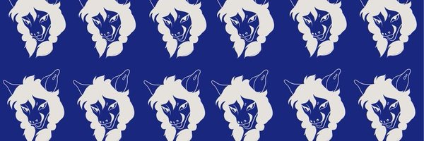 nstfdr Profile Banner