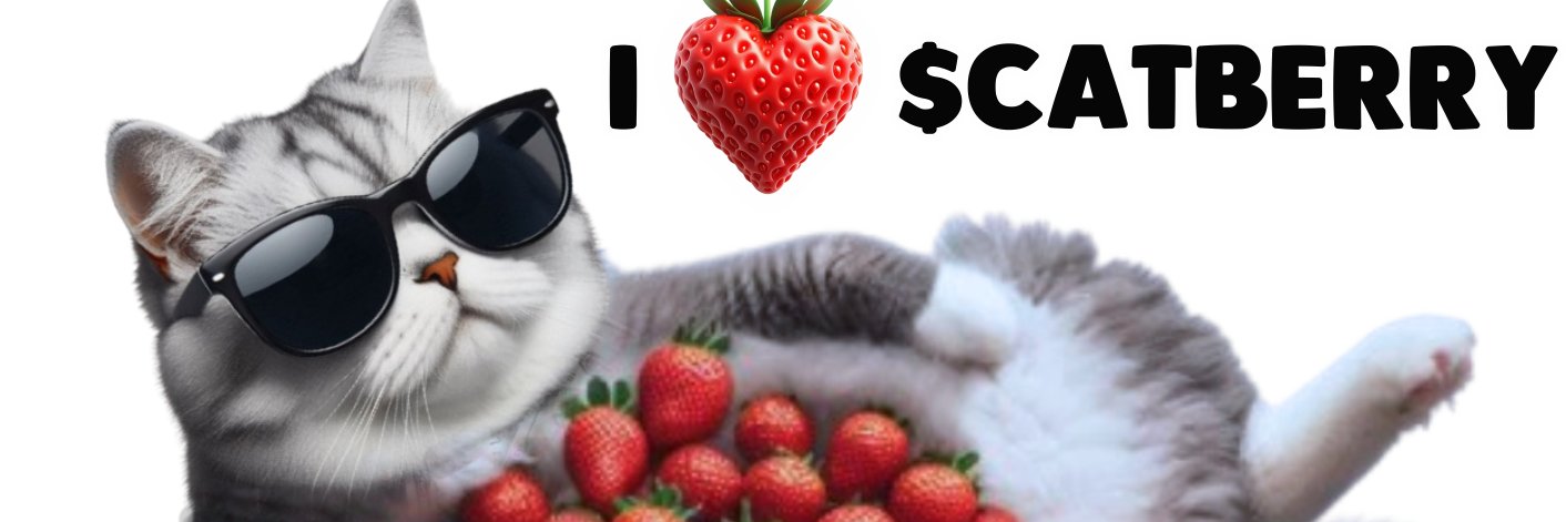 Web3Nate12's profile banner image