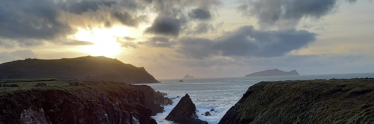 Colette O'Connor banner