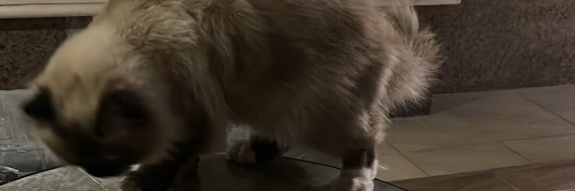 ozxi_z's profile banner image