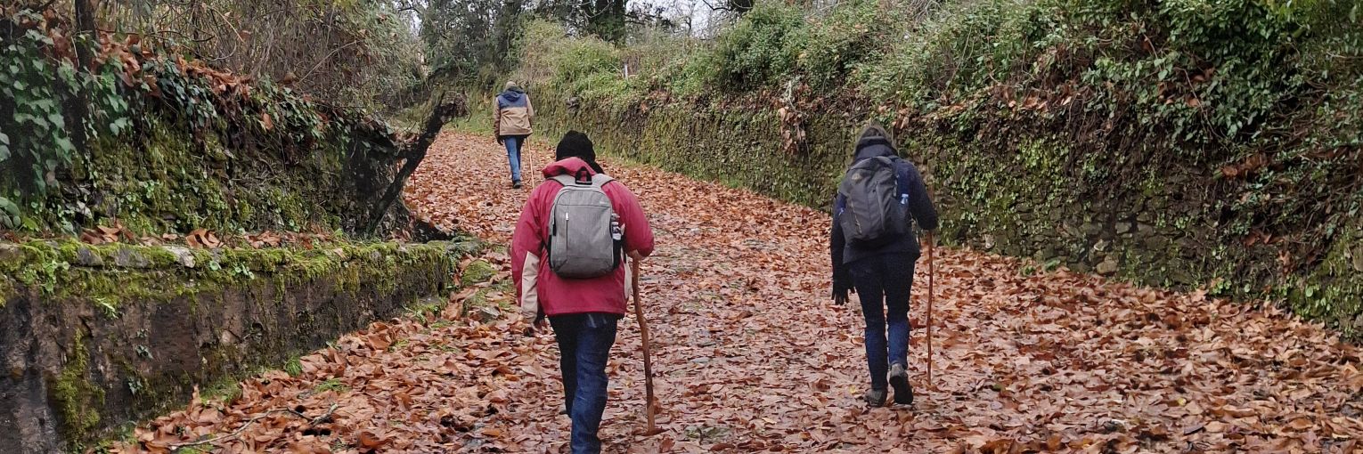 Alicia Almárcegui Elduayen banner