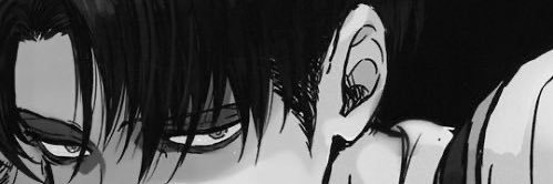 คายะ banner