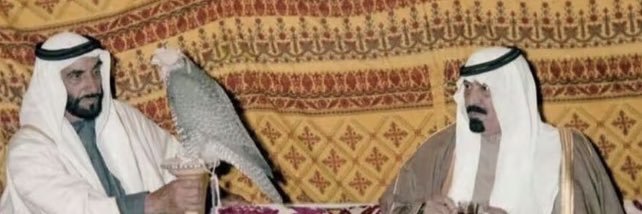 79kiu's profile banner image