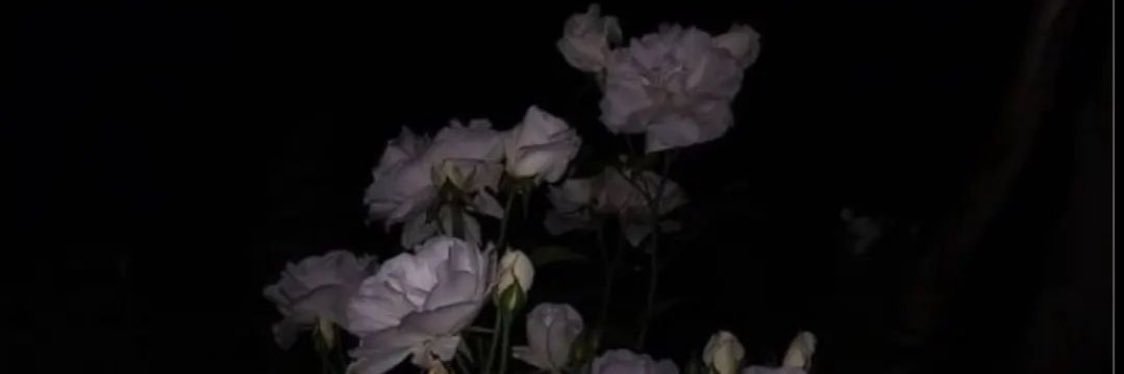 _Ixtab__'s profile banner image