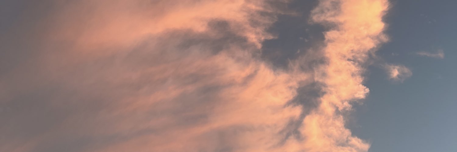 Thehomeproducts banner