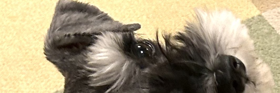 nanabutler's profile banner image