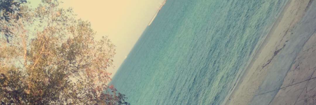 95Wasef's profile banner image