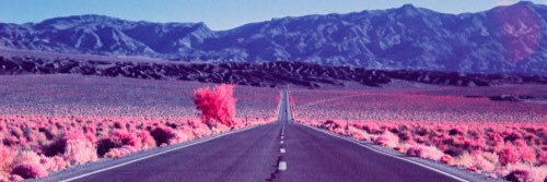 chandlerisabel's profile banner image