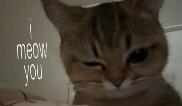 kllouy's profile banner image