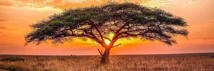 Nancy Milla G 🇵🇪 🌹☀ banner