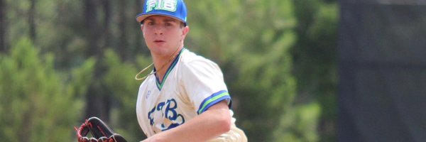 ReeseBaseball17 Profile Banner