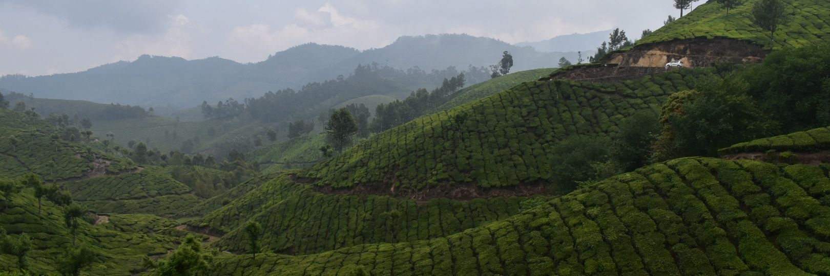 kunalgroy's profile banner image