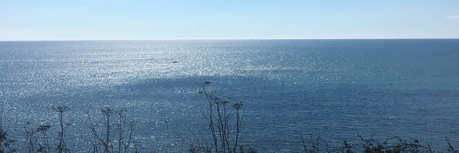 Psydocsar's profile banner image