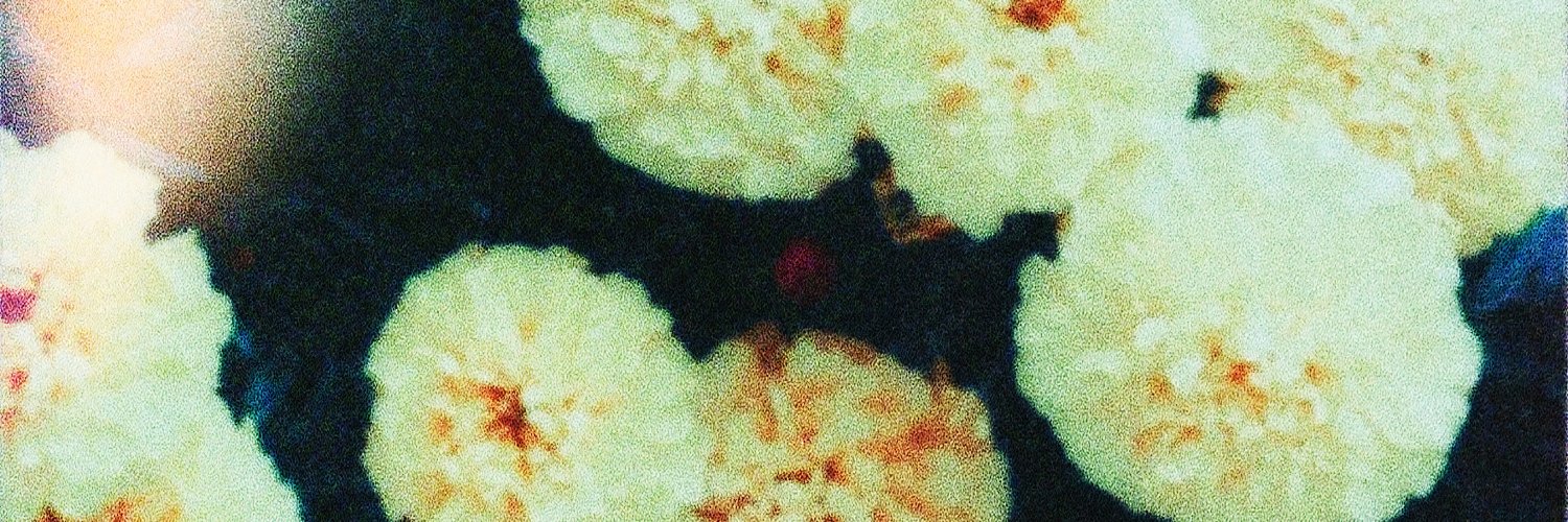 Endearments banner
