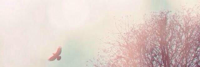 Taikiiz's profile banner image