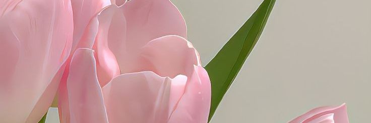 _acadsbyisla's profile banner image