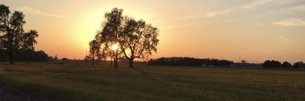 amhinc13 Profile Banner