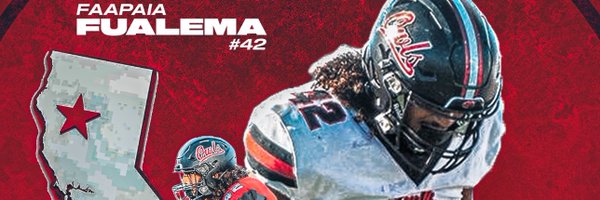 FFualema Profile Banner
