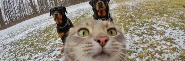 idkstubby Profile Banner