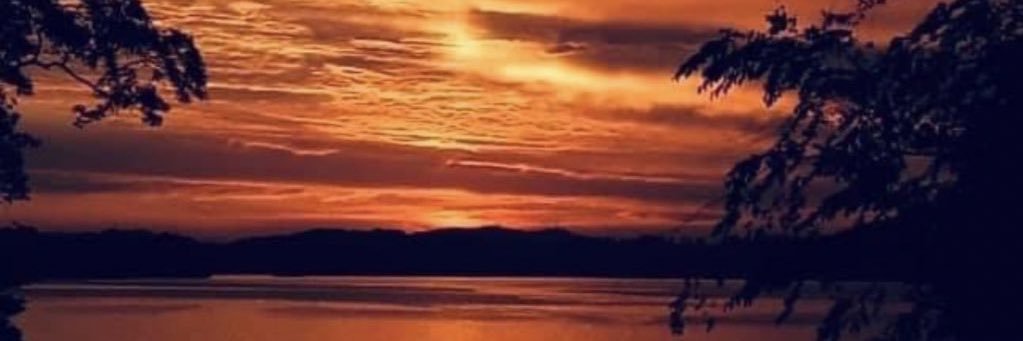 Persistent One banner