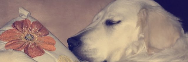 ColeMeredith11's profile banner image