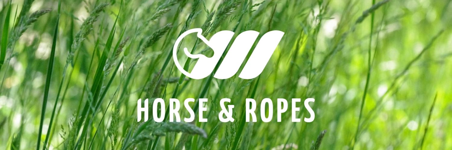 HorseAndRopes's profile banner image
