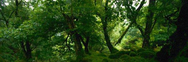 LisingJethro Profile Banner