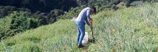 DeilynQ Profile Banner