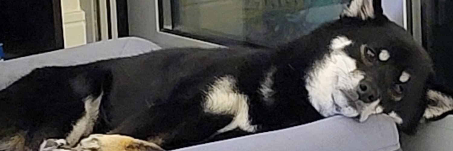 Alexander Bandukwala 🦋 banner