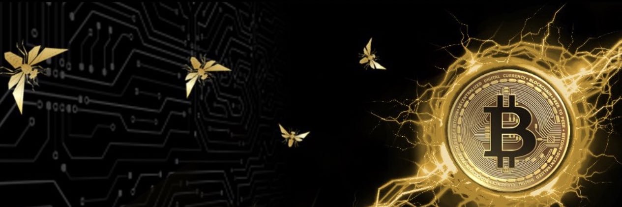 Hodle Dodle banner