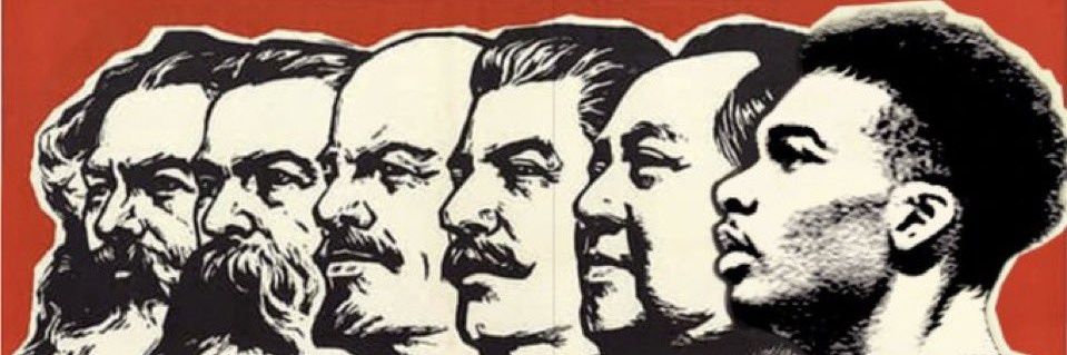 berg1312 banner