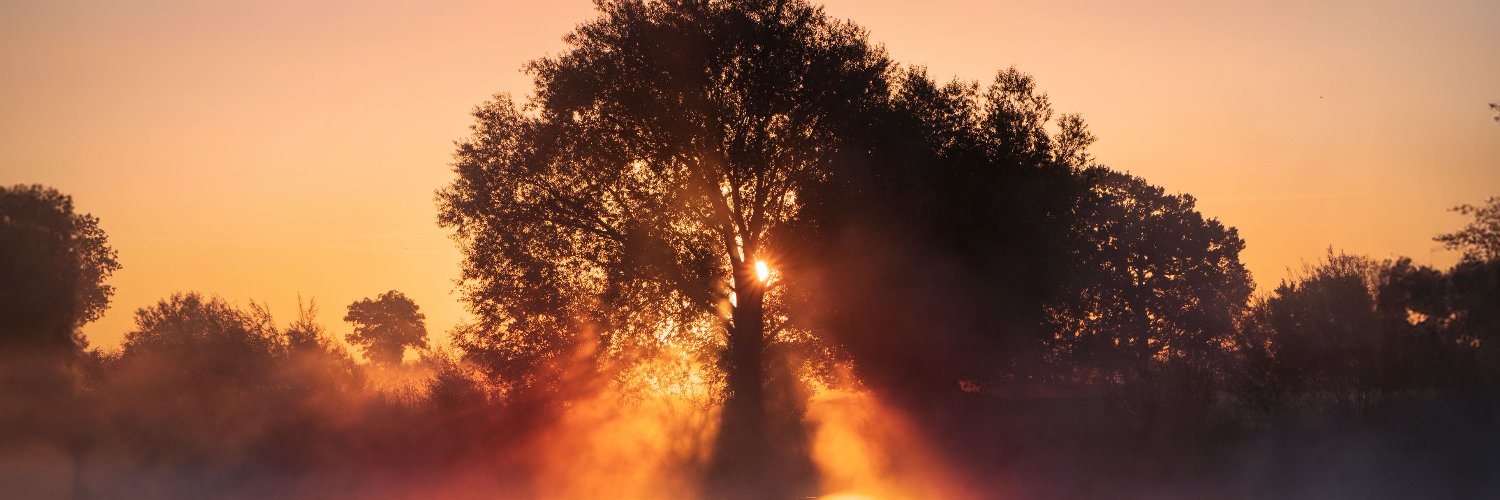 HarmonicPathway's profile banner image