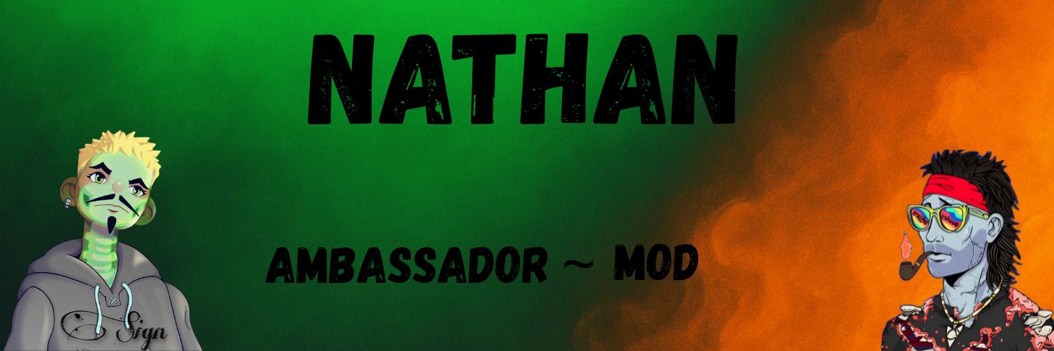 Nathan ⛺ 👨‍🍳's banner