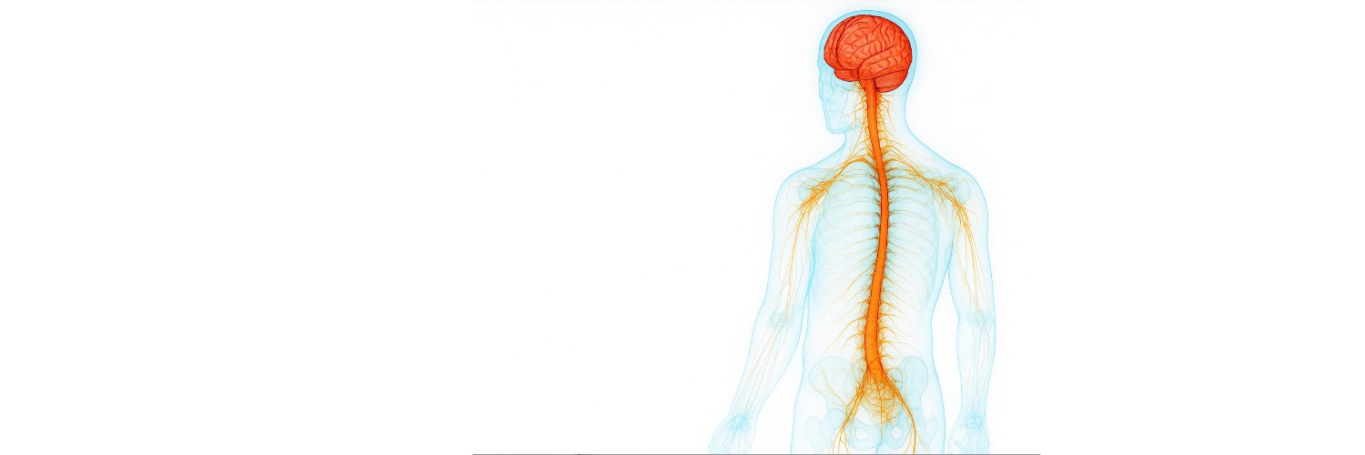 Tracy Tanguay: Int'l Movement Optimization banner