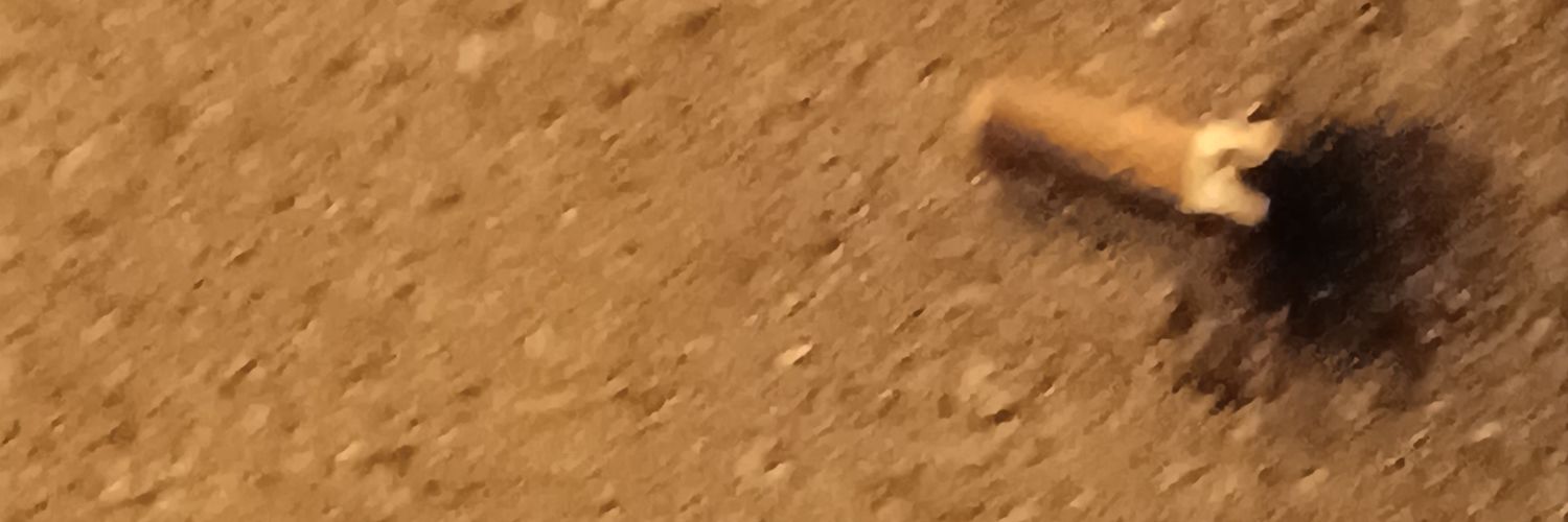 lititosss's profile banner image