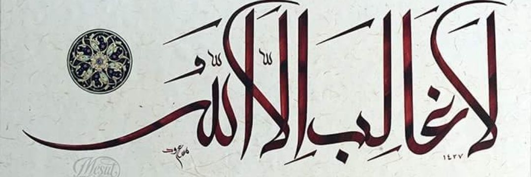 WhoKnows🇹🇷 banner