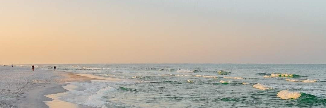 chaifiels's profile banner image