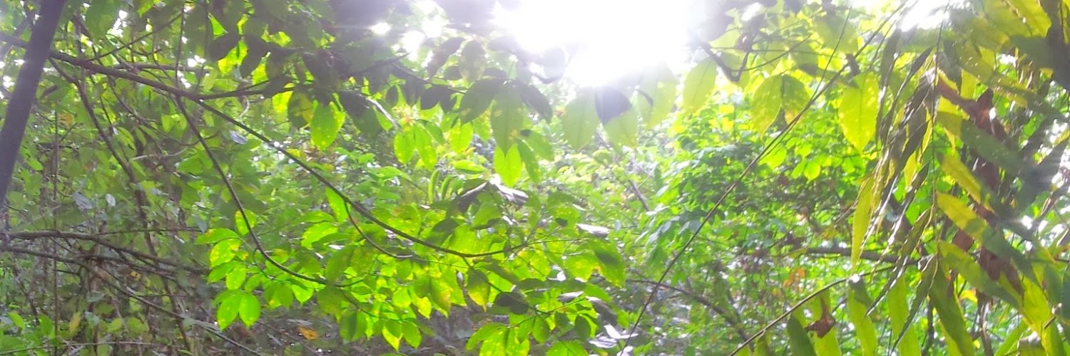 adabalap's profile banner image