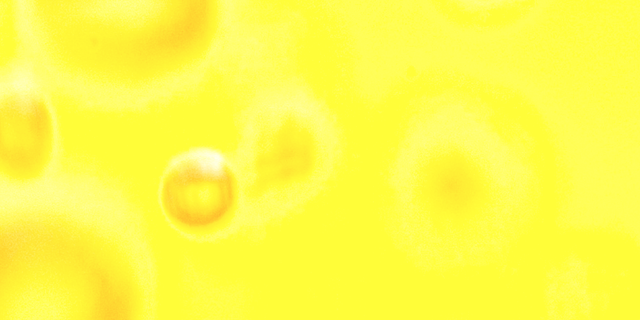PhoenixabcLX10's profile banner image