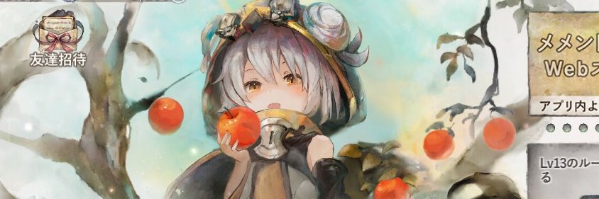 rikaruna's profile banner image