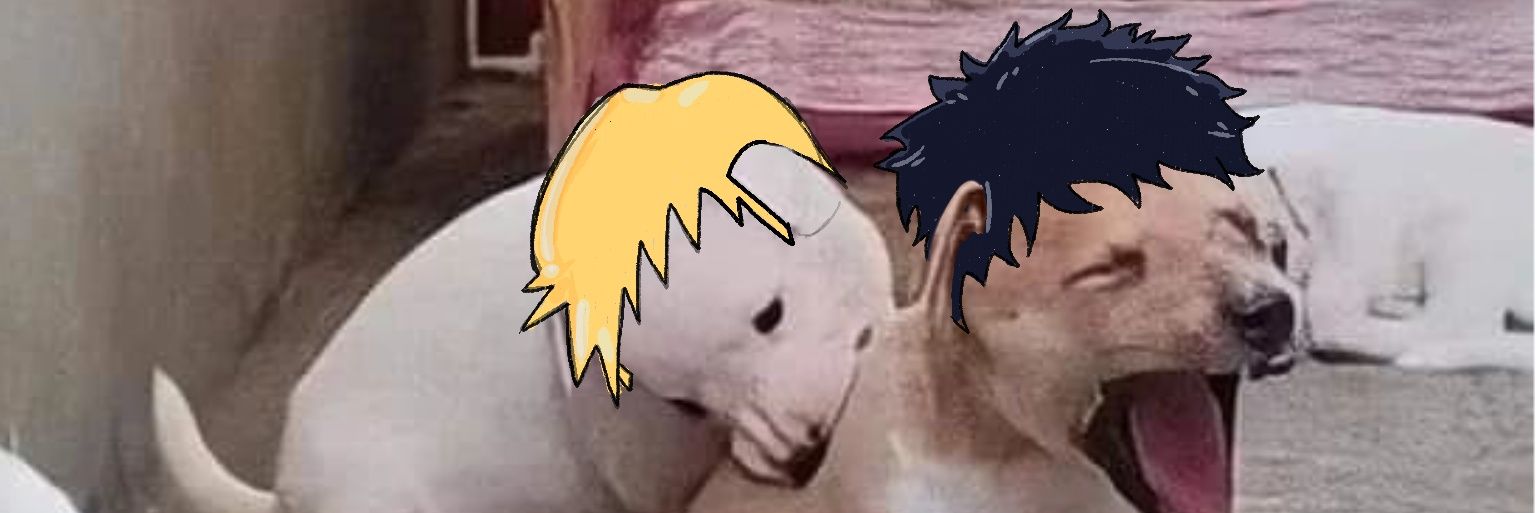 『 rocks🐦‍⬛ banner