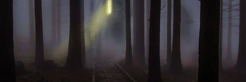 primalsdesire's profile banner image
