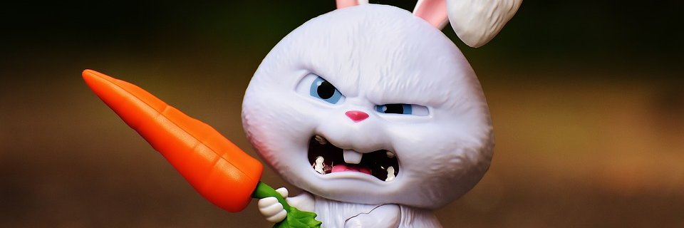 ginquinn's profile banner image