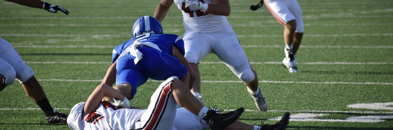 Bailey Cowell banner