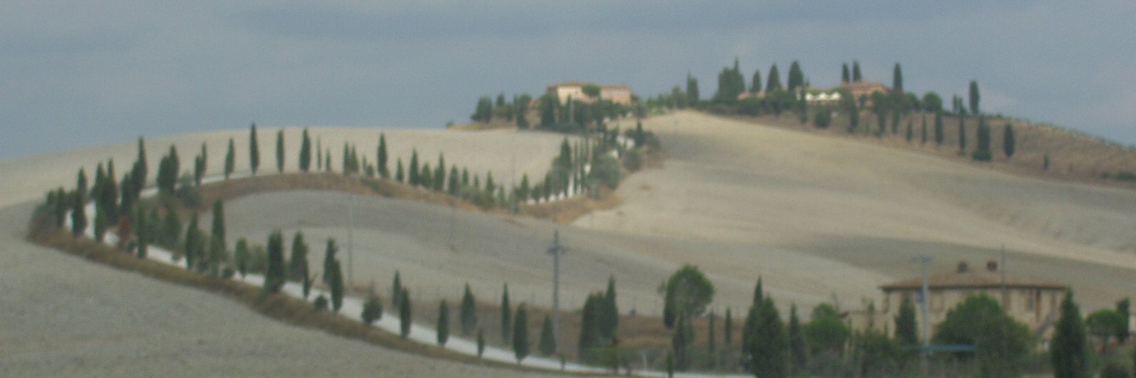 calviele's profile banner image