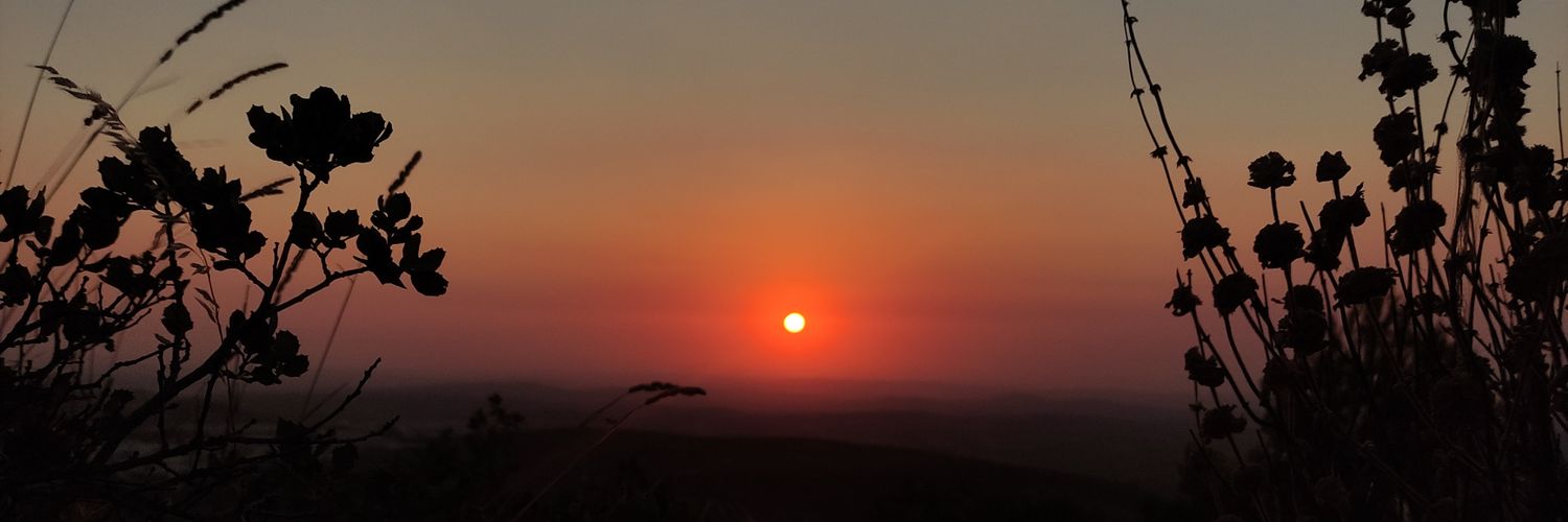 marta_Ruizbb's profile banner image